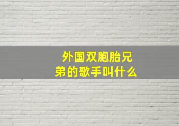 外国双胞胎兄弟的歌手叫什么