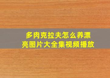 多肉克拉夫怎么养漂亮图片大全集视频播放