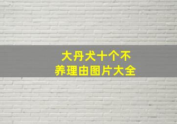 大丹犬十个不养理由图片大全