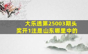 大乐透第25003期头奖开1注是山东哪里中的