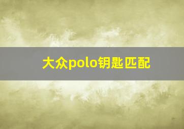 大众polo钥匙匹配