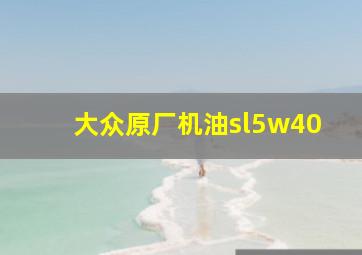 大众原厂机油sl5w40