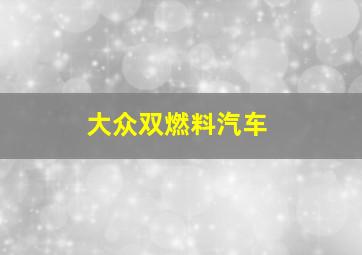 大众双燃料汽车