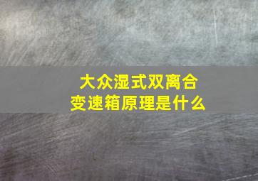 大众湿式双离合变速箱原理是什么