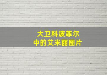 大卫科波菲尔中的艾米丽图片