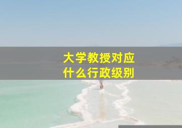 大学教授对应什么行政级别