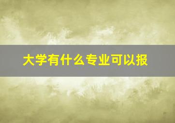 大学有什么专业可以报