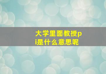 大学里面教授pi是什么意思呢