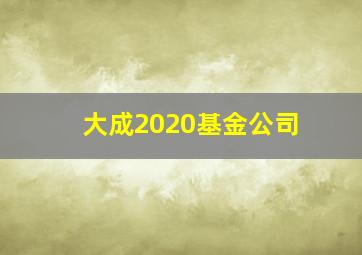 大成2020基金公司