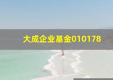 大成企业基金010178