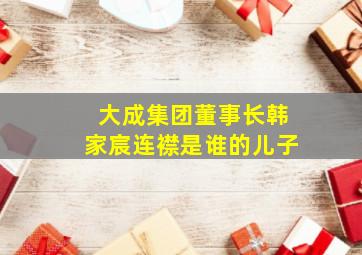 大成集团董事长韩家宸连襟是谁的儿子