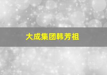 大成集团韩芳祖