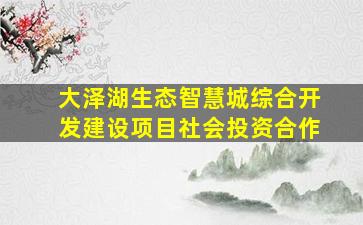 大泽湖生态智慧城综合开发建设项目社会投资合作