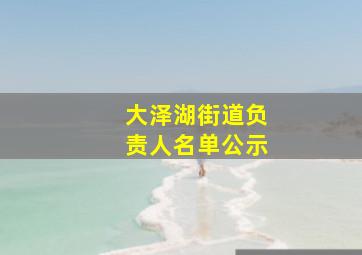 大泽湖街道负责人名单公示