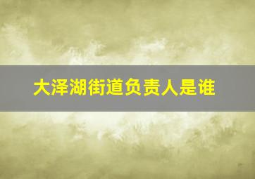 大泽湖街道负责人是谁