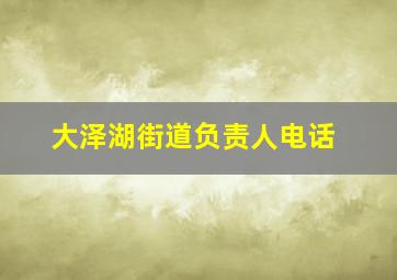 大泽湖街道负责人电话