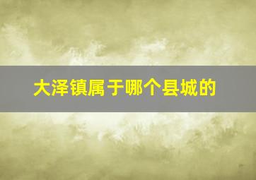 大泽镇属于哪个县城的