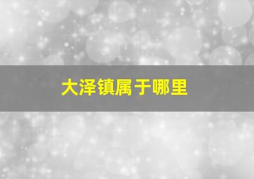 大泽镇属于哪里