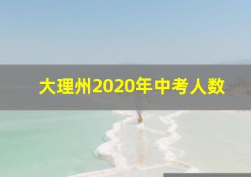 大理州2020年中考人数