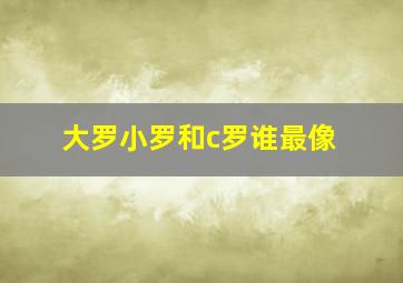 大罗小罗和c罗谁最像