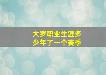 大罗职业生涯多少年了一个赛季