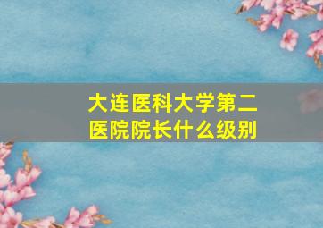 大连医科大学第二医院院长什么级别