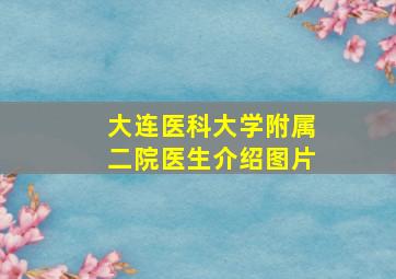 大连医科大学附属二院医生介绍图片