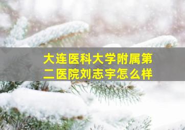 大连医科大学附属第二医院刘志宇怎么样