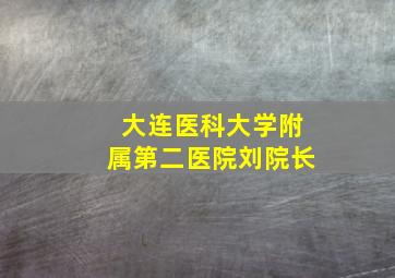 大连医科大学附属第二医院刘院长