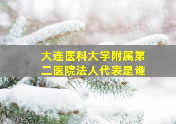 大连医科大学附属第二医院法人代表是谁