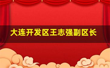 大连开发区王志强副区长