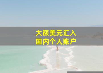 大额美元汇入国内个人账户