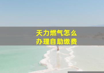 天力燃气怎么办理自助缴费