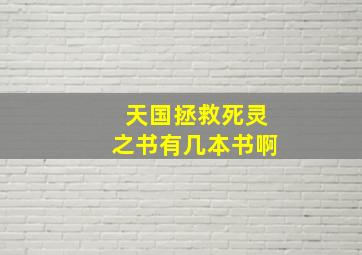 天国拯救死灵之书有几本书啊