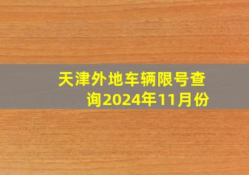 天津外地车辆限号查询2024年11月份