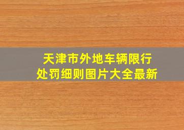 天津市外地车辆限行处罚细则图片大全最新