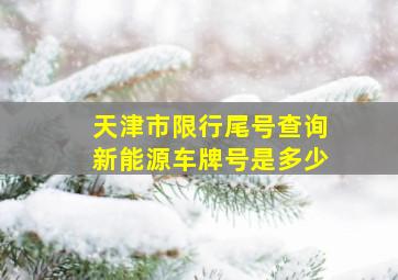 天津市限行尾号查询新能源车牌号是多少