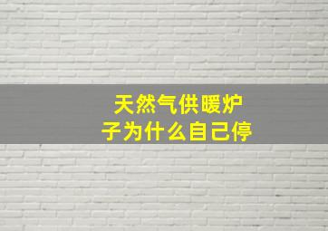 天然气供暖炉子为什么自己停