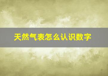 天然气表怎么认识数字