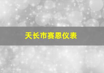 天长市赛恩仪表