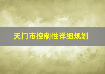 天门市控制性详细规划