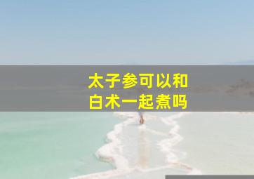 太子参可以和白术一起煮吗