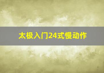 太极入门24式慢动作