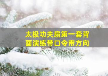 太极功夫扇第一套背面演练带口令带方向