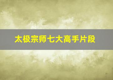 太极宗师七大高手片段