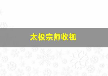 太极宗师收视