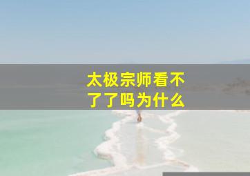 太极宗师看不了了吗为什么