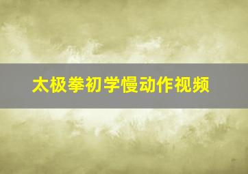 太极拳初学慢动作视频