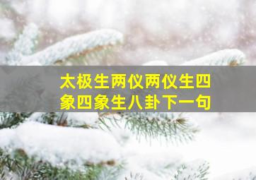 太极生两仪两仪生四象四象生八卦下一句