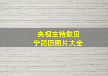 央视主持撒贝宁简历图片大全